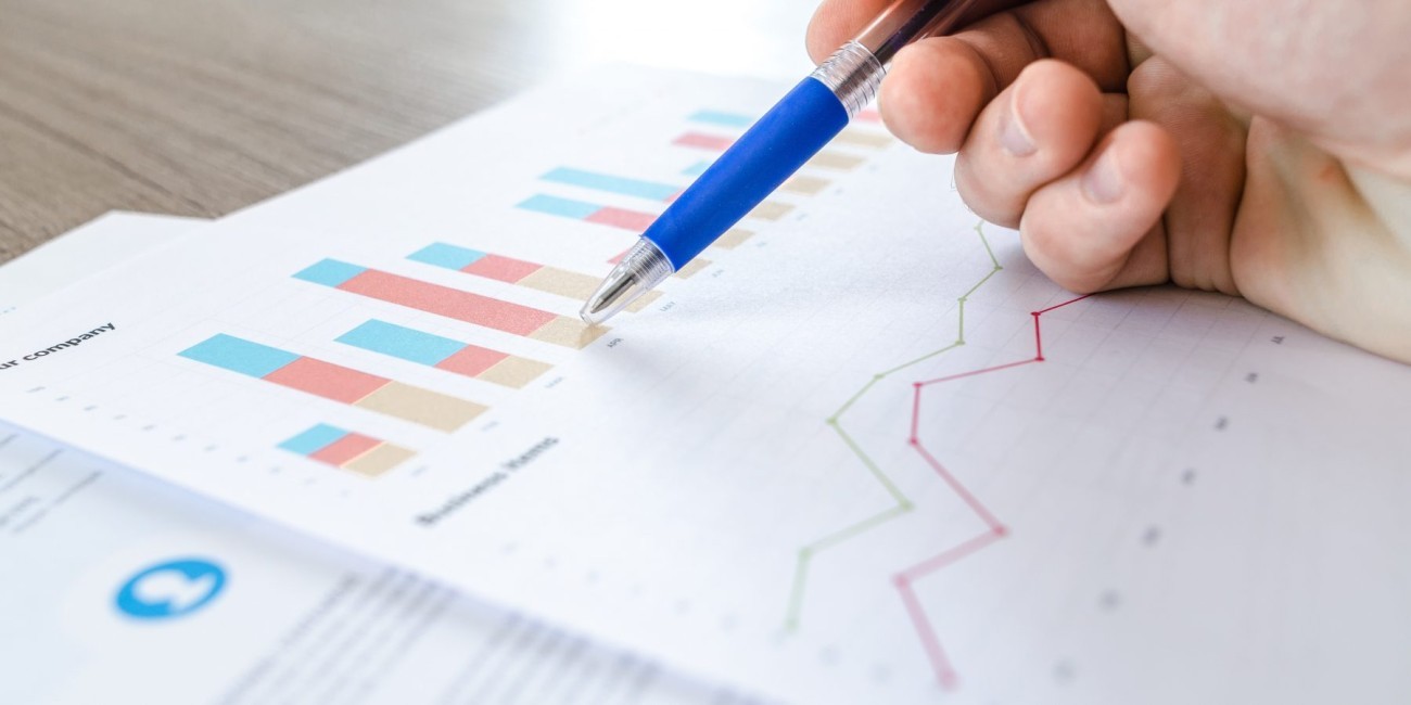 Project Management, MEAL & TPM Services